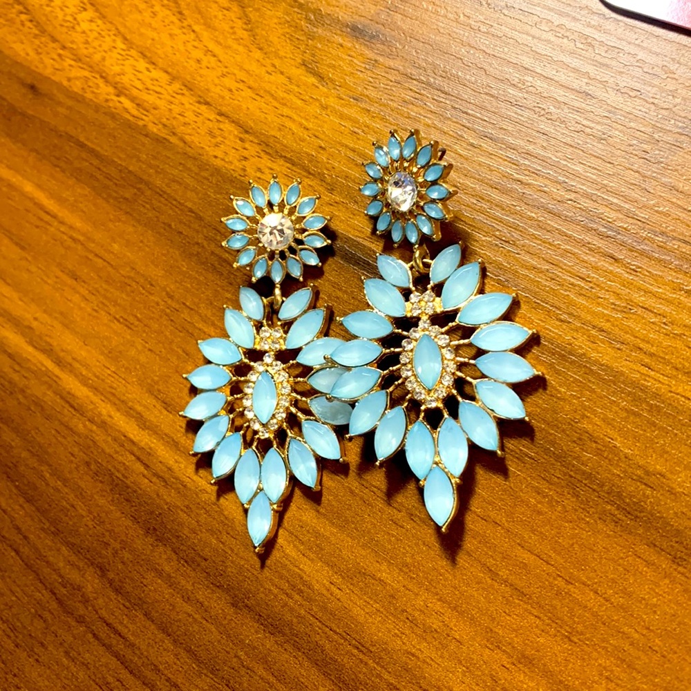 Charlotte Russe earrings!